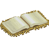 Bienvenue dans le livre d'or