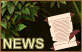 News du donjon