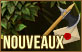 Prsentations des Membres